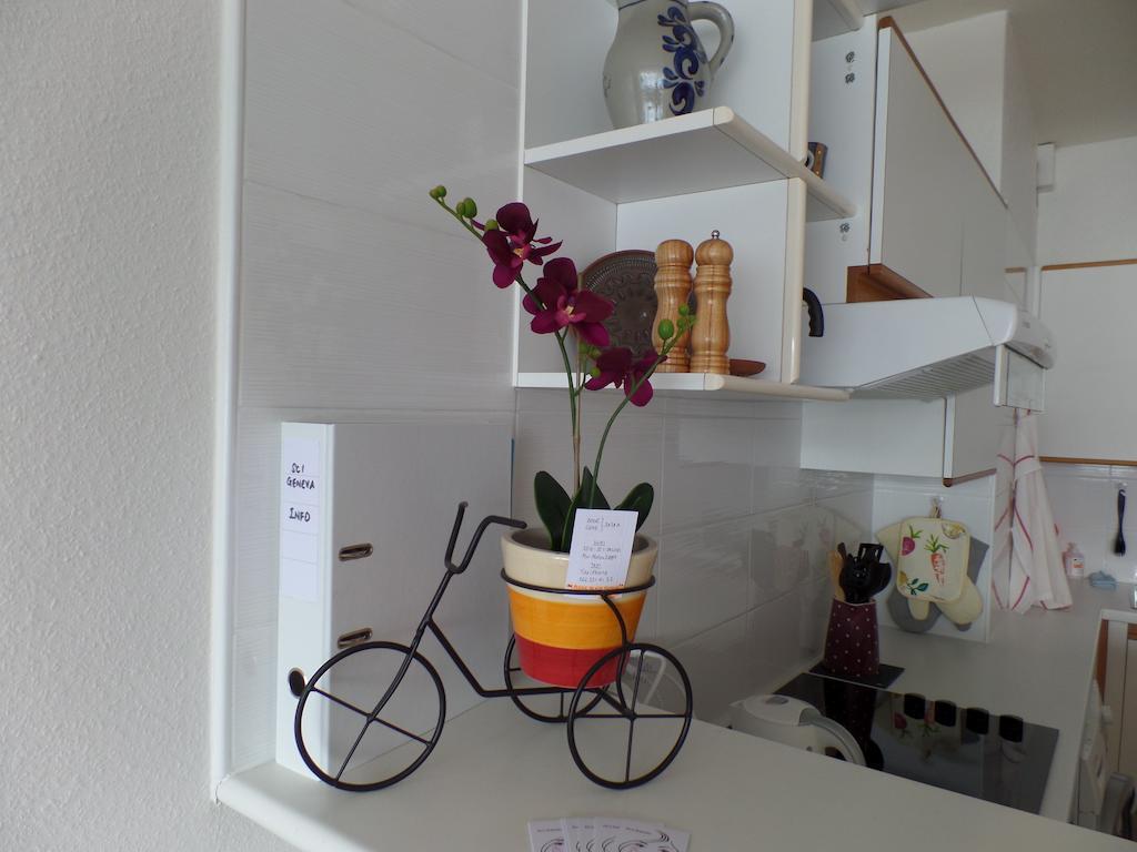 Apartment The Sc1 By Castaway Lodgings Geneva